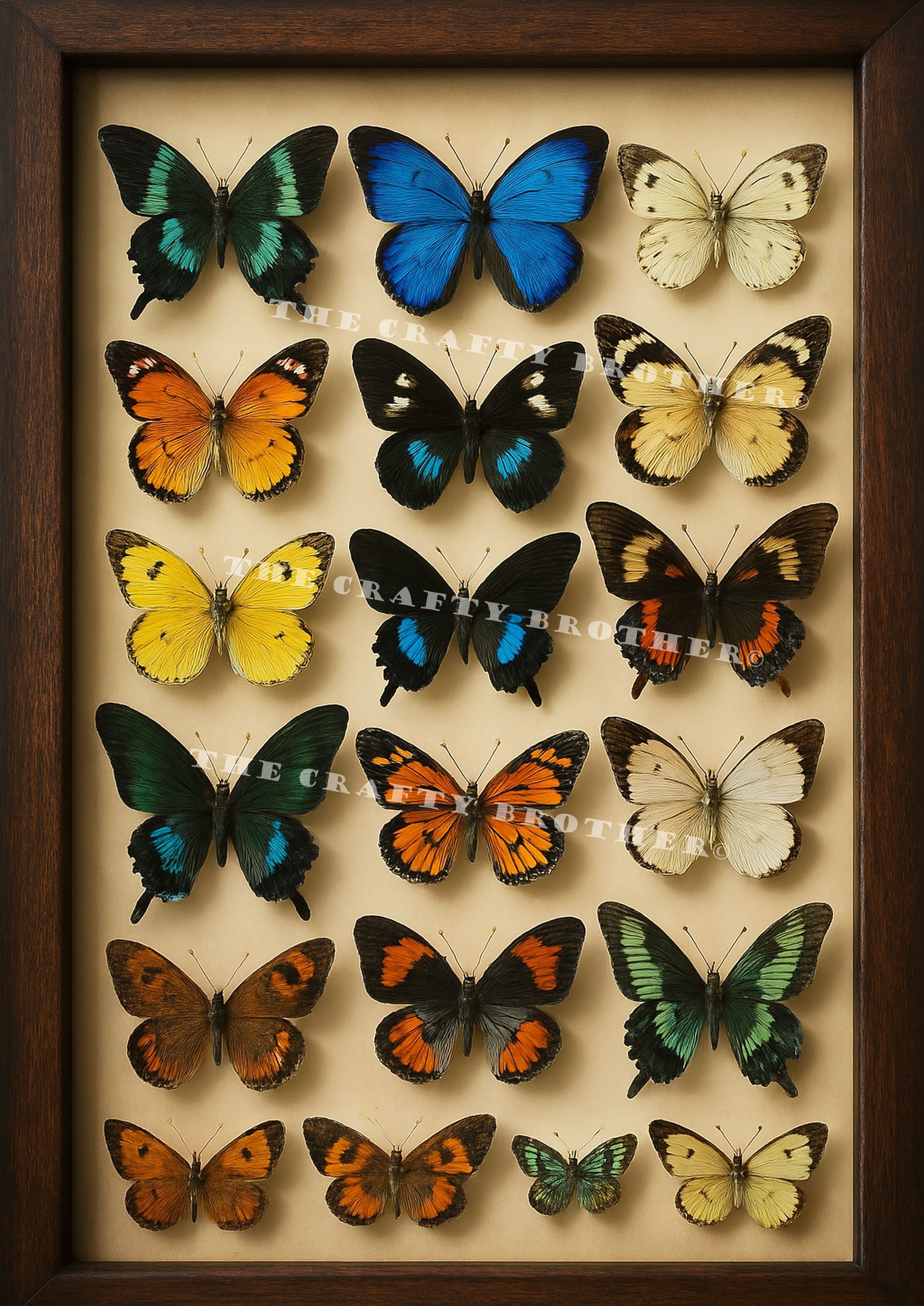 Butterfly Collection – The Crafty Brother
