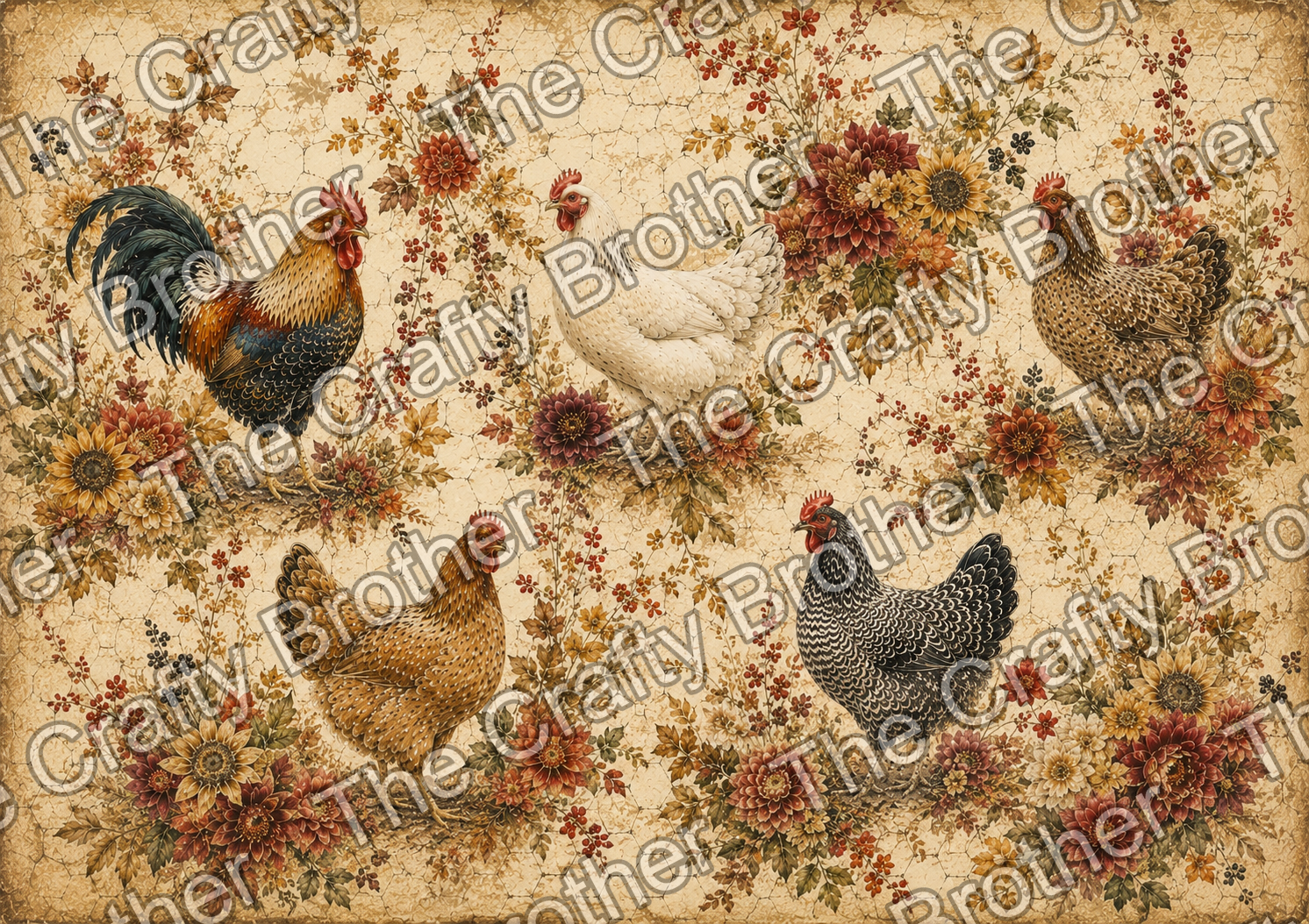 Chciken Print